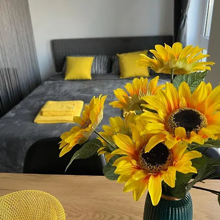 Yellow Κονστάντζα