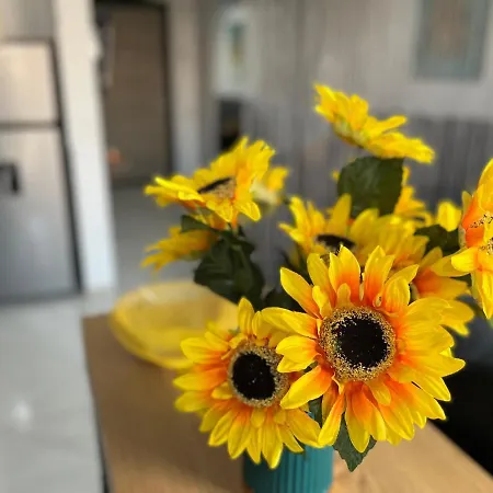 Apartment Yellow Constanta